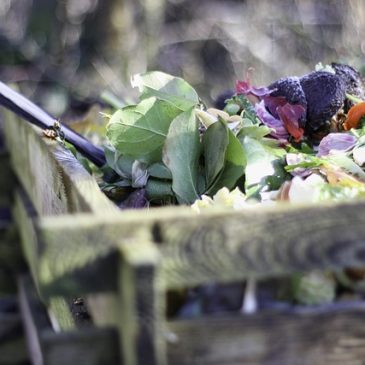 Le compostage, comment ça marche ?
