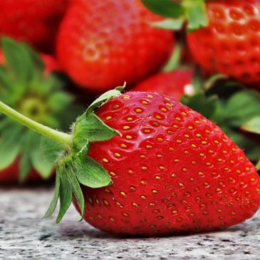 Petite histoire de la fraise