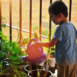 Créer et animer un jardin pédagogique en crèche
