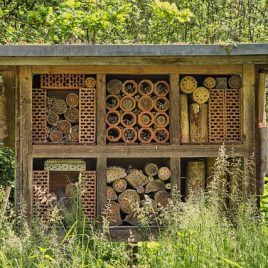 Atelier création d’hôtels à insectes