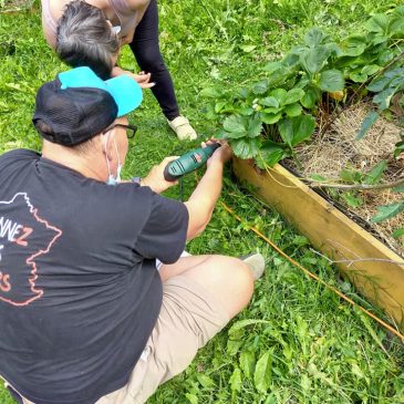 Un jardin partagé à Villeparisis