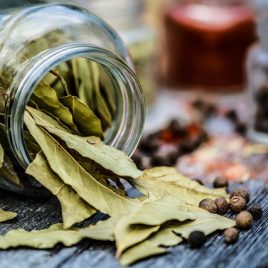 Cultiver ses épices et aromates