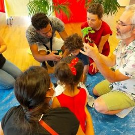 Mini ateliers de jardinage : rempotage d’une plante