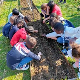 Ateliers jardin et biodiversité