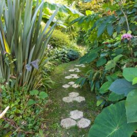 Créer un mini jardin forêt