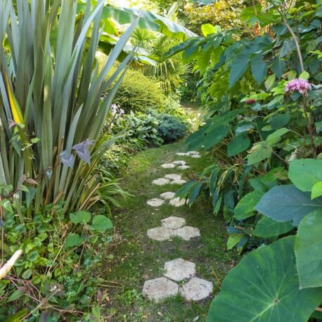 jardin polynésien